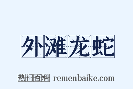 外滩龙蛇是什么意思的图片